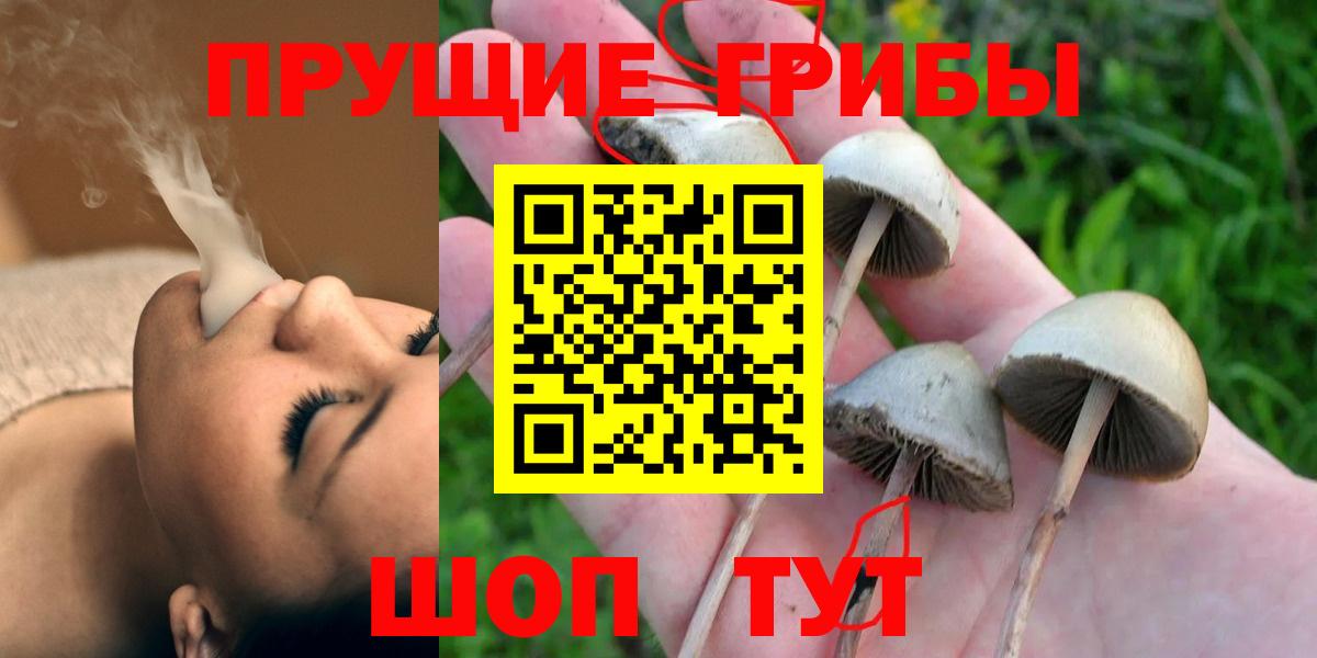 Обь  Галлюциногенные грибы Psilocybe  Вход с VPN 