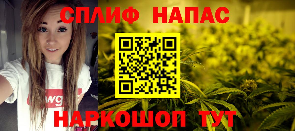 Бошки Шишки MAZAR Обь